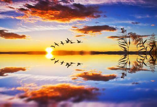 
循环的意义是什么？‘xc sports’(图2)