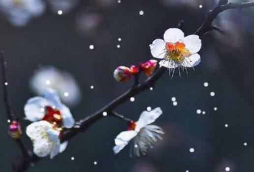 【答疑】康健的育儿理念是什么‘xc体育’(图3) xc sports