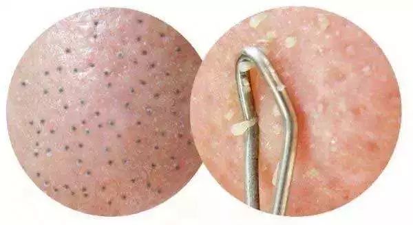 xc体育|腾讯会议屏幕共享水印正式开放(图2) xc sports