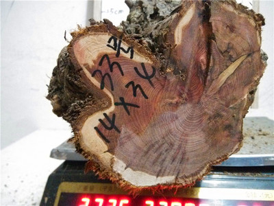 重磅!2019 自然指数年度榜单宣布 中科院继续绝对领先‘xc sports’(图1) xc体育