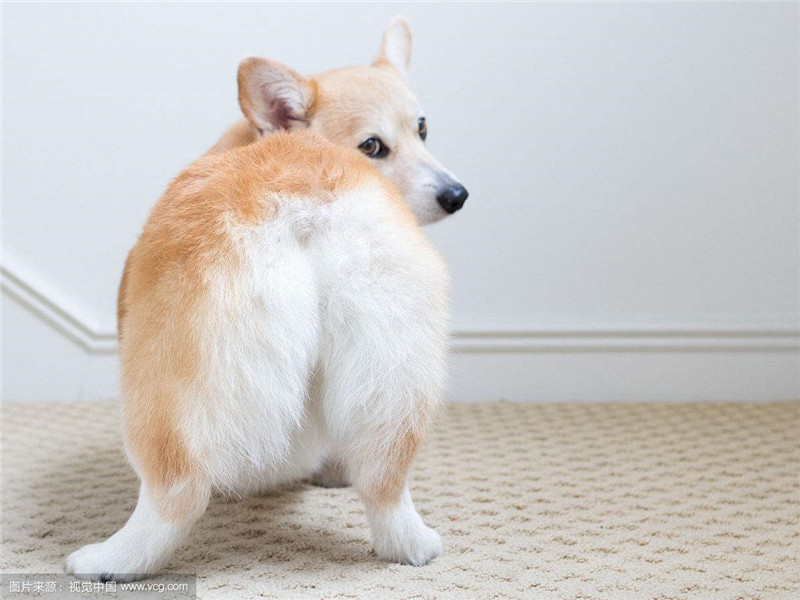 北京安盟信息技术股份有限公司的项目通过科技结果评价“xc体育”(图2) xc sports